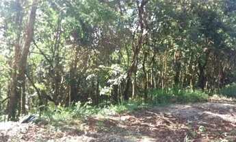 Imagem 4: Terreno 1000m2 Condominio Jardins; Retiro do chalé