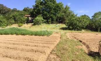 Imagem 3: Area para Venda - 9500m², 0 dormitórios, Vila Nova