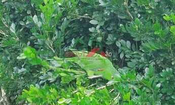 Imagem 2: Chácara com 3 dorms, Centro, Águas de São Pedro