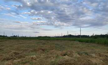 Imagem 2: Terreno ótima localização em Forquilhinha, município do sul do estado