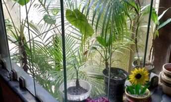 Imagem 6: Sobrado para venda com 3 quartos, 1 suíte em Gonzaga - Santos - SP