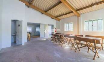 Imagem 6: PORTO ALEGRE - Apartamento Padrão - Agronomia