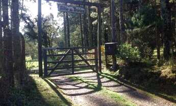 Imagem 3: Sítio no bairro Ulisses de Abreu em Canela!