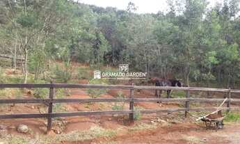 Imagem 4: SÍTIO À VENDA, 52000 M² POR R$ 2.099.000,00 - CARAZAL - GRAMADO/RS