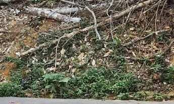 Imagem 3: Lote/ terreno cetur