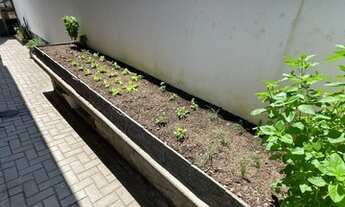 Imagem 4: Linda casa toda mobiliada, 3 Dorm Ribeirão da ilha