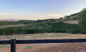 Imagem 3: Sítio Capetinga 19 Alqueires