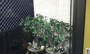 Imagem 5: Apartamento para Venda - 77m², 2 dormitórios, sendo 1 suites, 1 vaga - Partenon