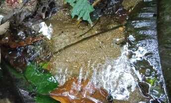 Imagem 3: Terreno à venda, 26000 m² por R$ 900.000,00 - Ubatumirim - Ubatuba/SP