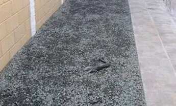 Imagem 3: Casana praia com 2 Dormitórios