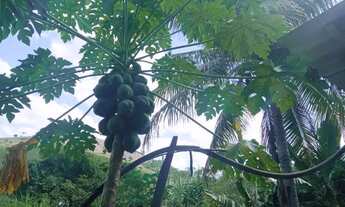 Imagem 4: VENDE-SE CHÁCARA