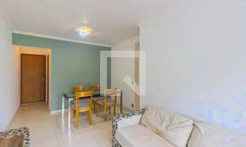 Imagem 3: Apartamento para Aluguel - Jardim Éster Yolanda, 3 Quartos, 64 m2