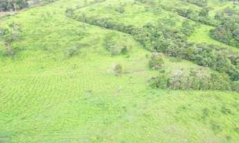 Imagem 5: Fazenda município de Abadiânia 82 alqueires
