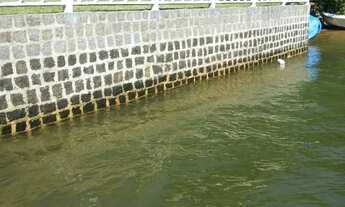 Imagem 5: 07 casas, Ilha de Itacuruça, Praia da Flexeiras, c/ piscina e ótimo p/ moradia e locação