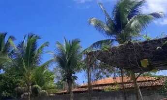 Imagem 6: Imóvel para venda tem 1200 metros quadrados com 3 quartos em Aritaguá - Ilhéus - BA