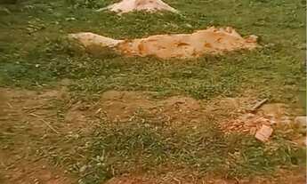 Imagem 2: TERRENO EM SANTARÉM /ACEITO CARRO NO NEGÓCIO