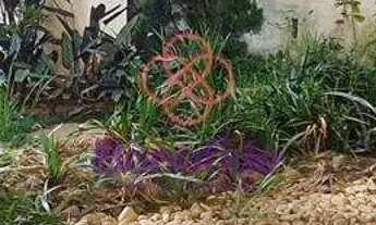 Imagem 4: Casa com 6 dormitórios para alugar, 502 m² por R$ 12.600,00 - Vila Virgínia - Jundiaí/SP