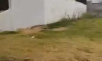 Imagem 6: Ótimo lote com 490 m2, Condomínio Residencial Anaville - Anápolis - GO