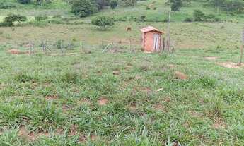 Imagem 2: Preço de Chácara...sitio produtivo.. Poço Próprio.. Espaço Criação de Animais..