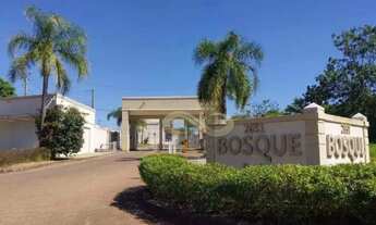 Imagem: Casa com 2 dormitórios para alugar, 52