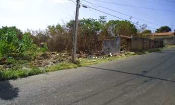 Imagem 5: Terreno no Cidade Nova em Teresina-PI