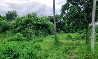 Imagem 2: Vendo sítio no barro branco perto do trevo do ceramista