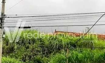 Imagem 3: Terreno - Jardim Bom Sucesso - Campinas