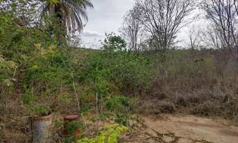 Imagem 2: Vendo ou Troco Chácara em Mirabela no Encontro das Águas