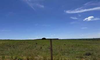 Imagem 7: Fazenda com cana próximo Uberlândia
