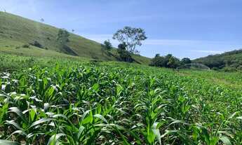 Imagem 3: VENDA-SE ESTÁ FAZENDA DE 96 ALQUIRES NO Espirito Santo/ES