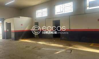 Imagem 2: Galpão para aluguel, Jardim Regina - ARAGUARI/MG