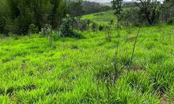 Imagem 5: Terreno com Possibilidades Infinitas