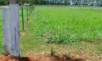 Imagem 5: Lote para Venda atrás da Fazenda Jaboticabal