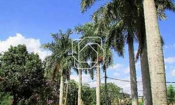 Imagem 3: Casa para locação no Condomínio Terras de São José em Itu