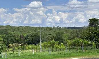 Imagem 7: Sítio muito bem planejado