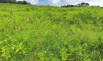 Imagem 5: Lote de 500 m² em Ibiúna para morar ou investir