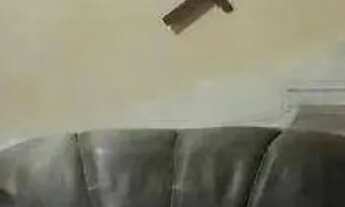 Imagem 3: Sobrado com 4 dormitórios à venda, 130 m² por R$ 720.000,00 - Jardim - Santo André/SP