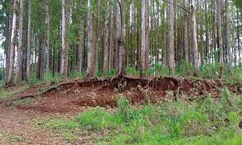 Imagem 3: Sítio Canta Galo