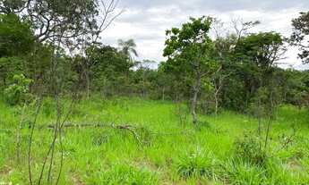 Imagem 5: Chácaras cercadas e com córrego em Cromínia!