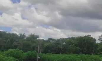 Imagem 5: CHÁCARA COMPLETA À VENDA - PORTEIRA FECHADA - Agrovila das Palmeiras