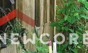 Imagem: Sobrado em Rua Santo Antônio - Vila Galvão