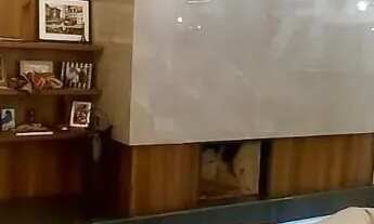 Imagem 4: Apto em Ipanema 3 suites com sacada gourmet / 3 vagas