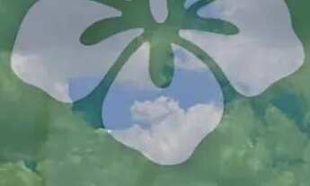 Imagem: Lotes para venda possui 1000 metros quadrados