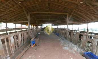 Imagem 6: Chácara à venda, Área Rural de Toledo - Toledo/PR