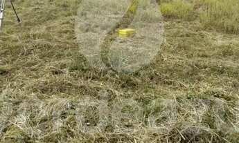 Imagem 2: Terreno à venda no Jardim Ibirapuera em Campinas-SP