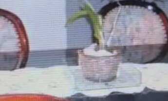 Imagem 7: Casa em Rua Cônego Januário - Ipiranga - São Paulo/SP