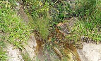 Imagem 2: VENDO urgente esta CHÁCARA