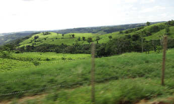 Imagem 2: 220 Alq. Guaraniaçu-Pr