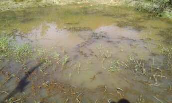 Imagem 3: Linda fazendinha a 6 km do centro da cidade, Baldim (Temos varias opções)