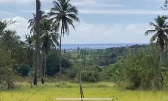 Imagem 5: Lote/Terreno para venda com 7000 metros quadrados em Praia Bela - Pitimbu - PB